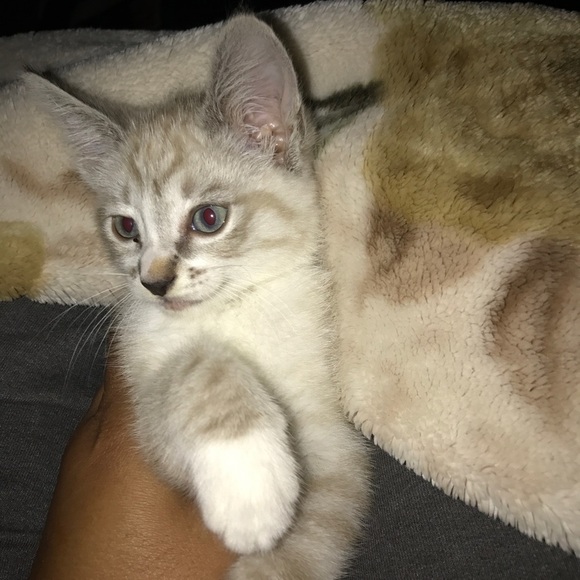 Meet your Posher, Igrid - Picture 1 of 2